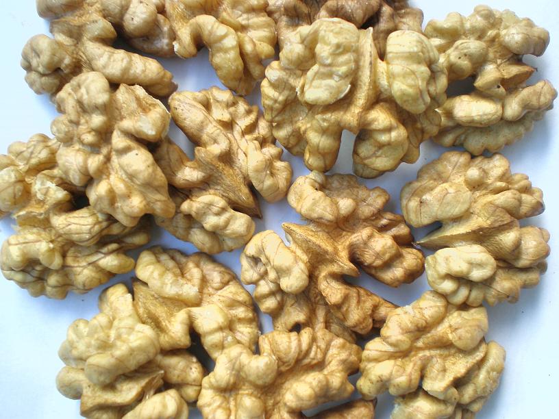 ���Ϻ�����