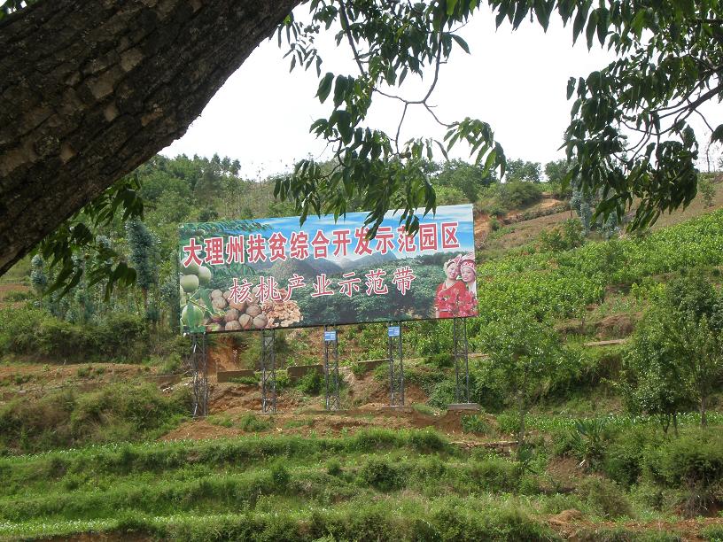 ���ϴ����ݺ��Ҳ�ҵʾ����