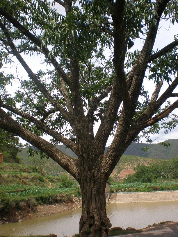 �����Ϻ�����