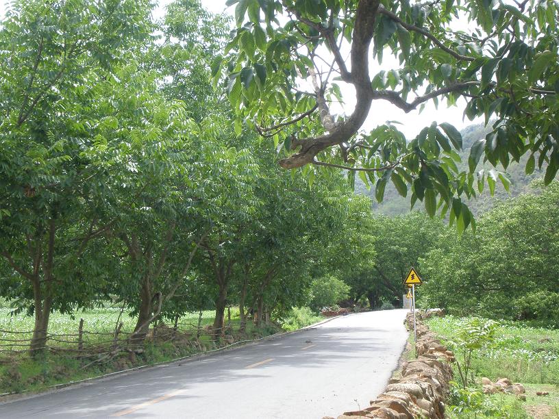 ������·�Եĺ�����