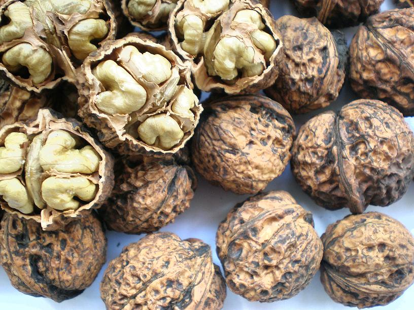 С���(�����������)