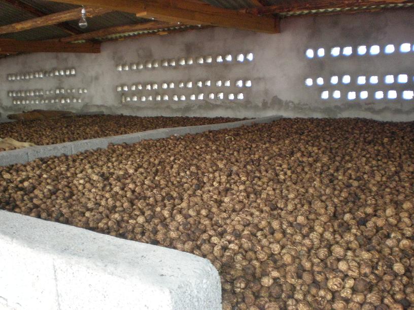 ���ں濾����