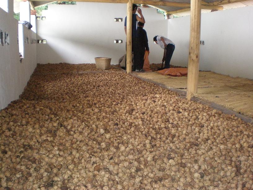 ���ҿ��ɳ�¯