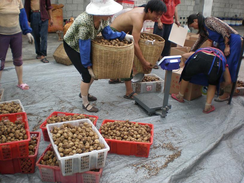 �ɺ��ҳ�¯���ڴ��