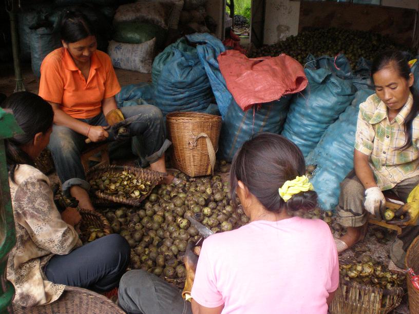 ���������ڰ���Ƥ