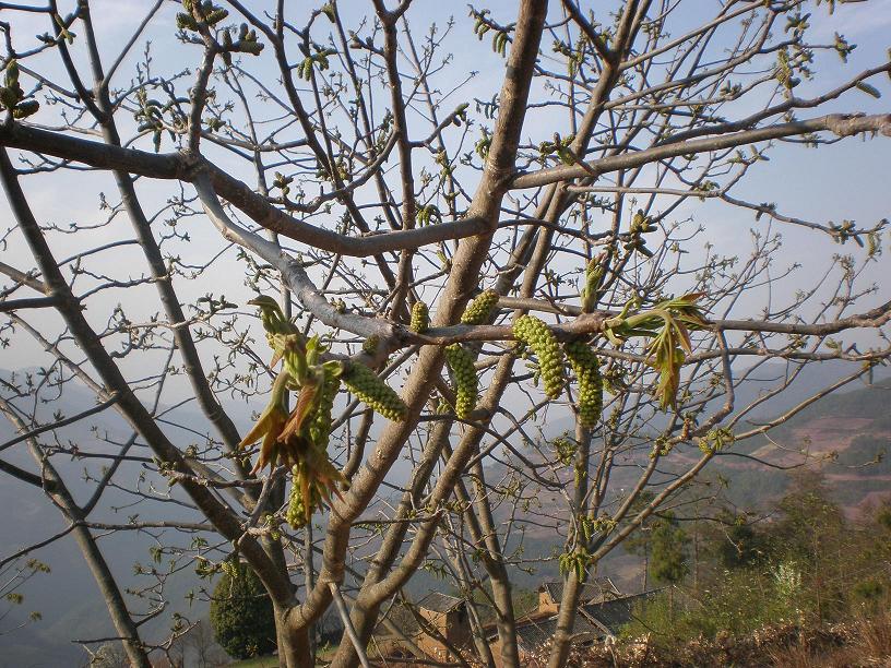 ���ڿ�����ĺ�����