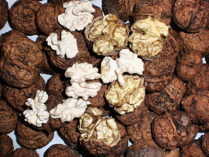 ���ʹ�����