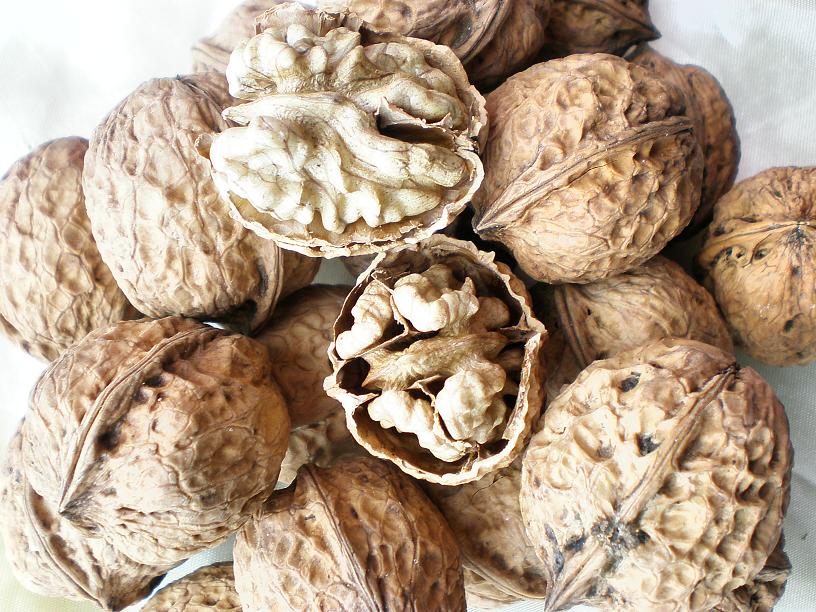 ���ں���