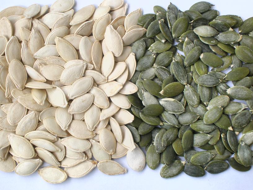 �׹�����