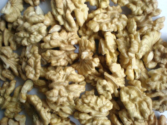 ���ͺ�����