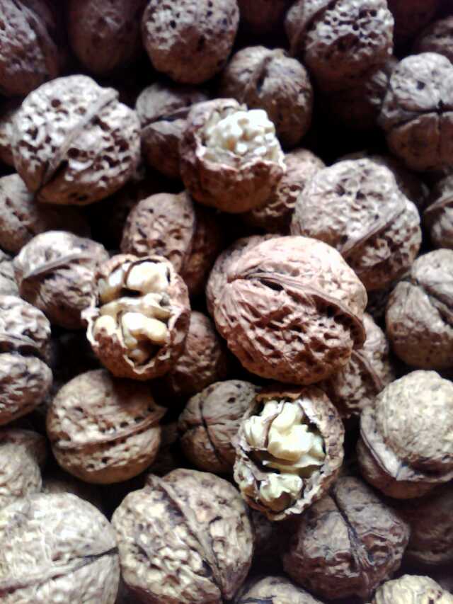 ��Ƥ���ĵ�ֽƤ����