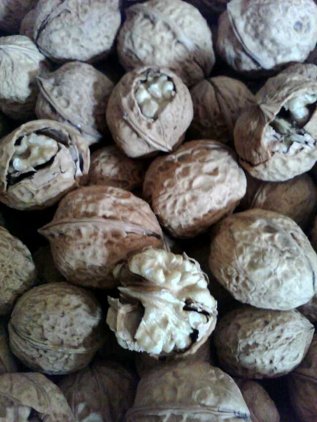 �����ʵ�����ֽƤ���ҹ���103��