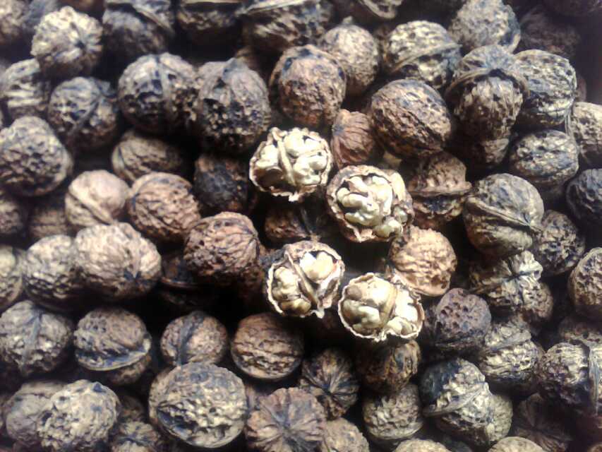 �ڸ������������ң�С���