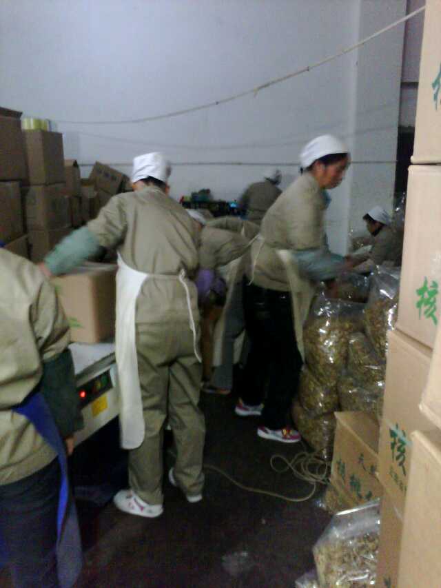 �����ʴ��