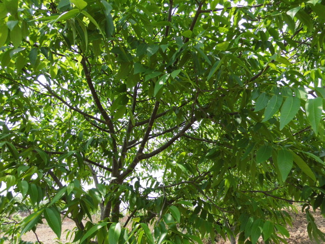 ��˾���ͼƬ